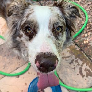 Meet your Posher, Kaiti